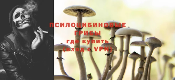 СК Карпинск
