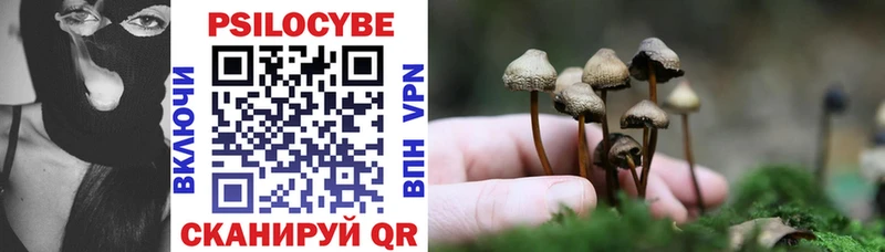 Галлюциногенные грибы Psilocybe  Купить  Зуевка 